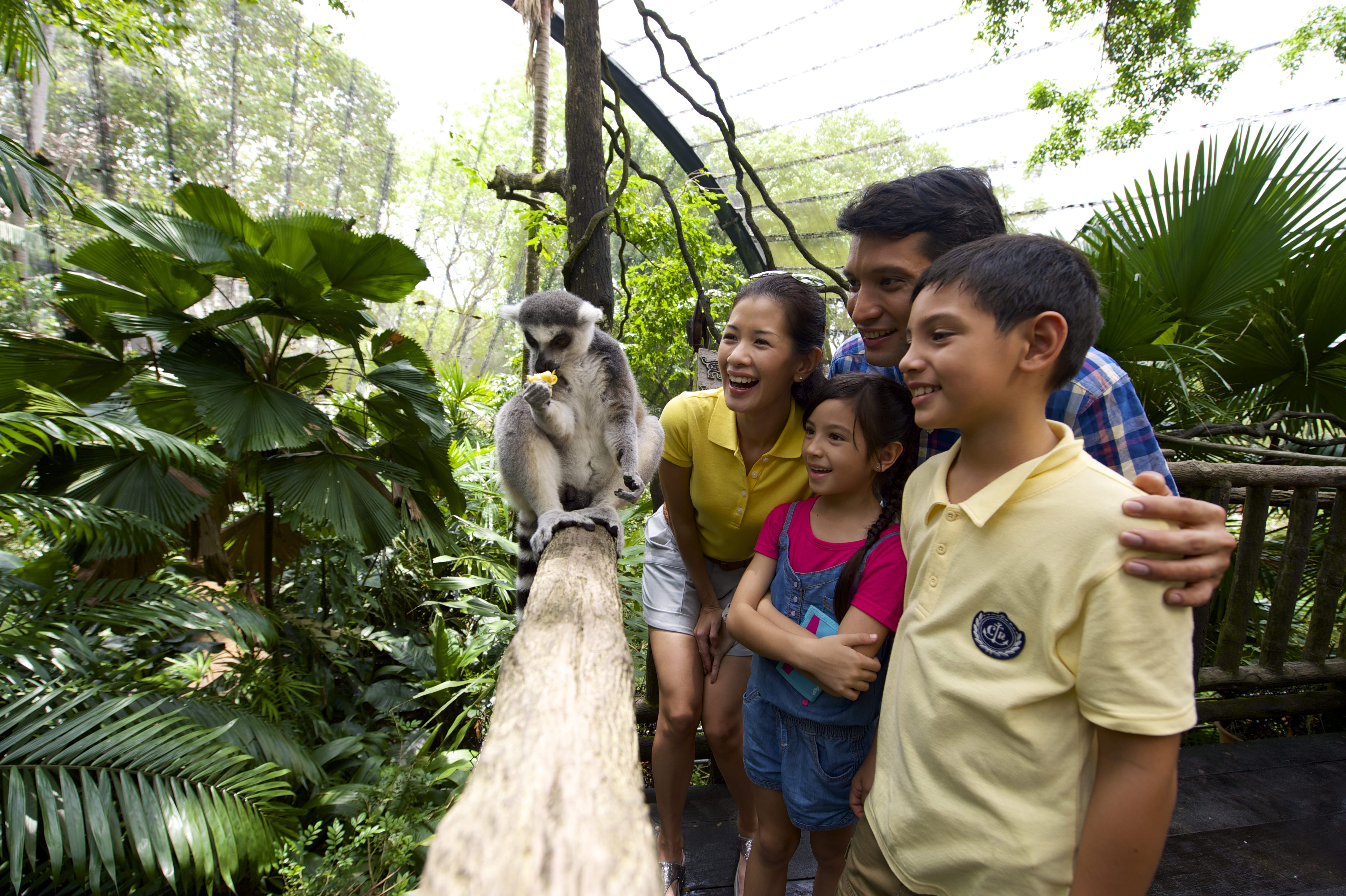 A family admiring a monkey in the Singapore Zoo